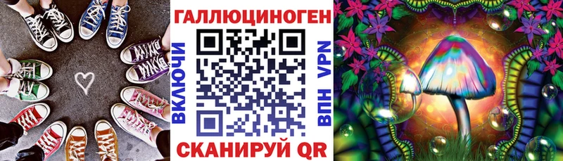 купить наркотики цена Ноябрьск Псилоцибиновые грибы MAGIC MUSHROOMS